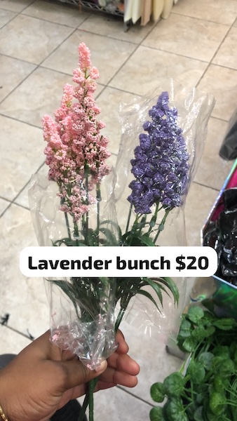 Lavender